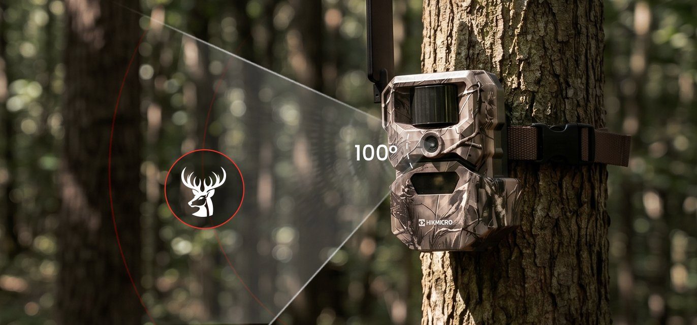 HIKMICRO T16 på trädstam med illustrerad 100 graders bevakningskon genom skogen