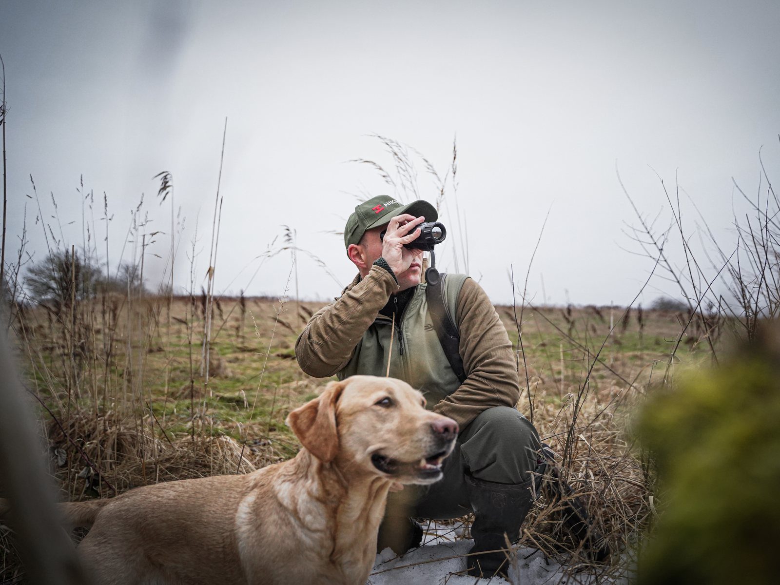 Jägare med gul labrador spanar med HIKMICRO LYNX 3.0 termisk monokulär inför eftersök i höstfält